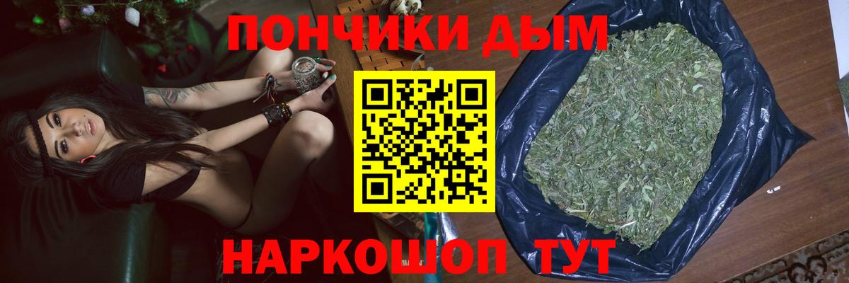 Каннабис гибрид Морозовск